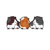 Wheek squad