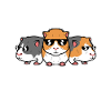 Wheek squad