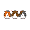 Escouade Wheek