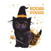 Hocus Pocus Cute Witch Cat