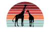 Giraffes