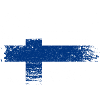 American finland flag