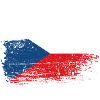 Flag Fusion US Czech