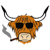 Scottish Highland Cattle Lustig