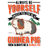 Meerschweinchen Geschenk Guinea Pig