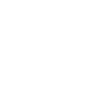 Painter