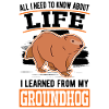 Murmeltier Groundhog Day Marmot Woodchuck