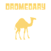 Dromedar Flüsterer