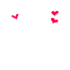 Raccoon Animals Pet