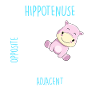 Hippotenuse Math Teacher