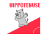 Hippotenuse Math Teacher Mathematician