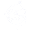 Globe Airplane Journey