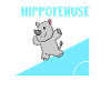 Hippotenuse Professeur de mathématiques Mathématicien