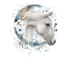 Pferdemädchen Pferde Geschenk Mädchen