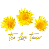 Dandelion Dandelion Dandelion Lion