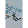 ski de piste