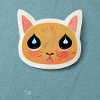Cute cartoon cat