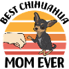 Chihuahua Mama