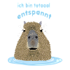 Capybara - ich bin total entspannt