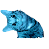 smiling cat