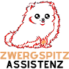 Zwergspitz Assistenz 1