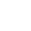Appointment as a pilot
