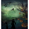 Halloween in the woods