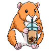 Hamster drinks bubble tea
