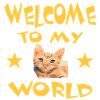 Katze