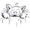 Chats blancs I Cat Amis Cadeau