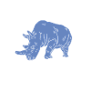 Team Rhino