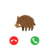 appel de sanglier