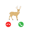 appel de cerf
