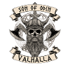 Son Of Odin Viking Valhalla
