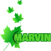 Marvin