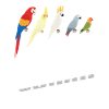 Parrot Squad Kids Bird