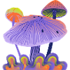 Tactile Psychedelic