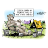 Camping Bär