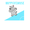 Hippotenuse Math Teacher Mathematician