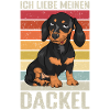 Dackel Rauhaar Dackel