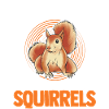 Cadeau Écureuil Gris Écureuil
