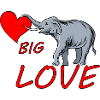 Big Love Elephant