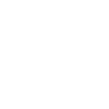Barnsley Coordinates
