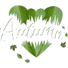 Feuilles d’automne dorées d’automne