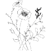 Fine Line Art Flower
