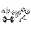 Strength and muscle training
