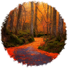 Autumn forest