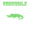 Crocodile Whisperer