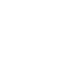 Skull - Memento Mori