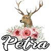 Petra